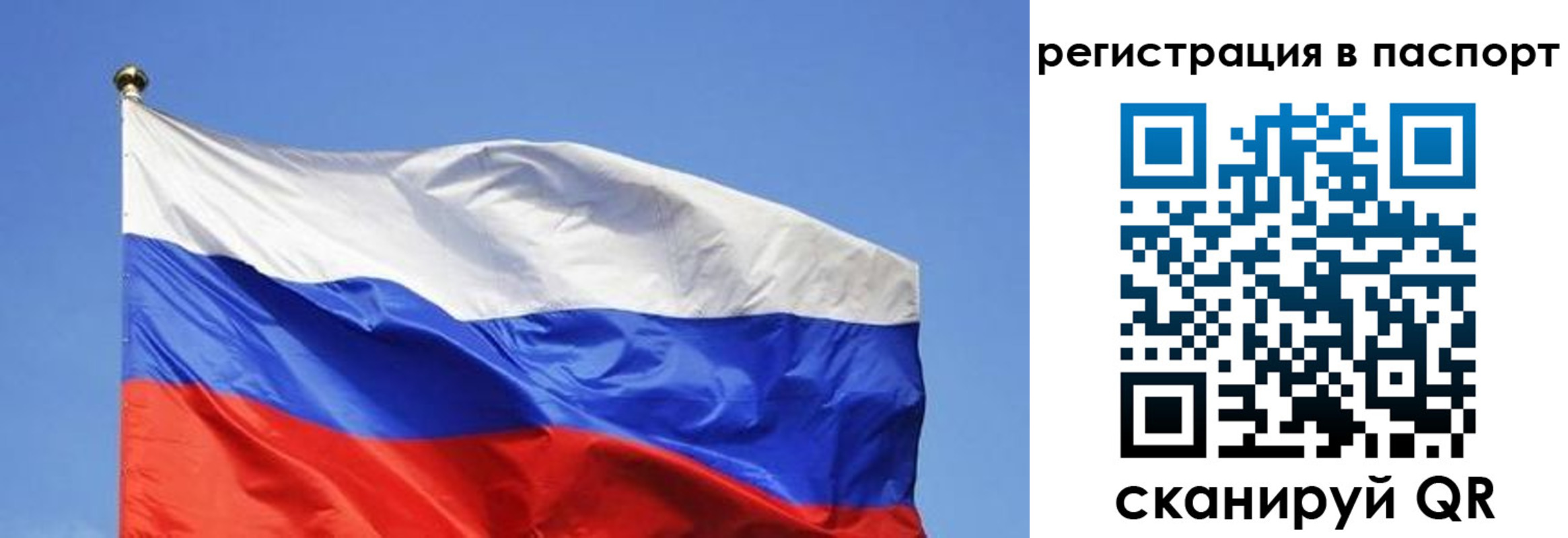 прописка в квартире в Сердобске